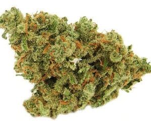 Green Crack Strain U.A.E