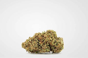 Gelato Strain - Image 3