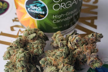 GMO Cookies Strain U.A.E - Image 4