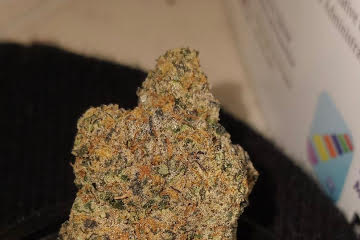 Biscotti by Cookie Strain U.A.E - Image 2
