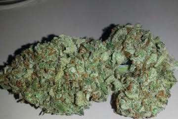 Green Crack Strain U.A.E - Image 3