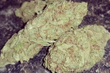 Blue Dream Strain U.A.E - Image 4