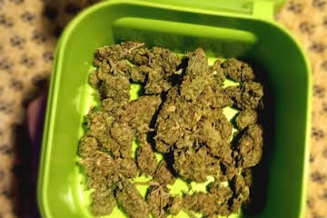 Gelato Strain - Image 4