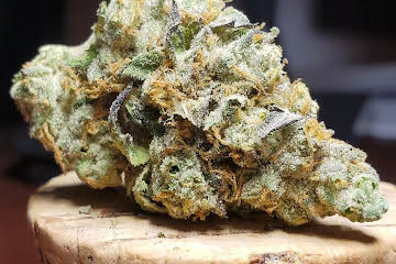 GMO Cookies Strain U.A.E