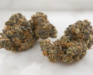 Purple Haze Strain U.A.E