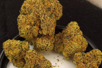 Biscotti by Cookie Strain U.A.E - Image 3