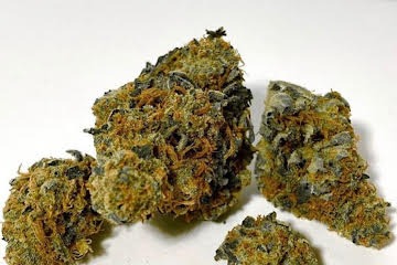 Jack Herer Strain - Image 5