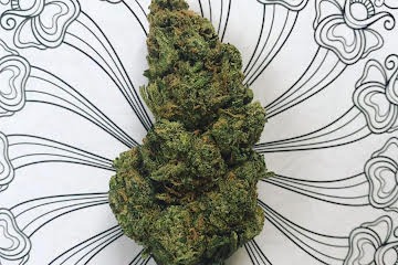 Blue Dream Strain U.A.E - Image 5