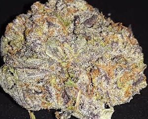 Blackberry kush Strain U.A.E