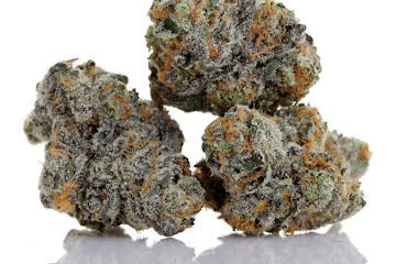 Gelato Strain