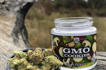 GMO Cookies Strain U.A.E - Image 3