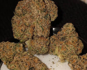 Biscotti by Cookie Strain U.A.E