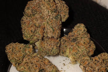 Biscotti by Cookie Strain U.A.E
