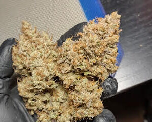 Super Lemon Haze Strain U.A.E